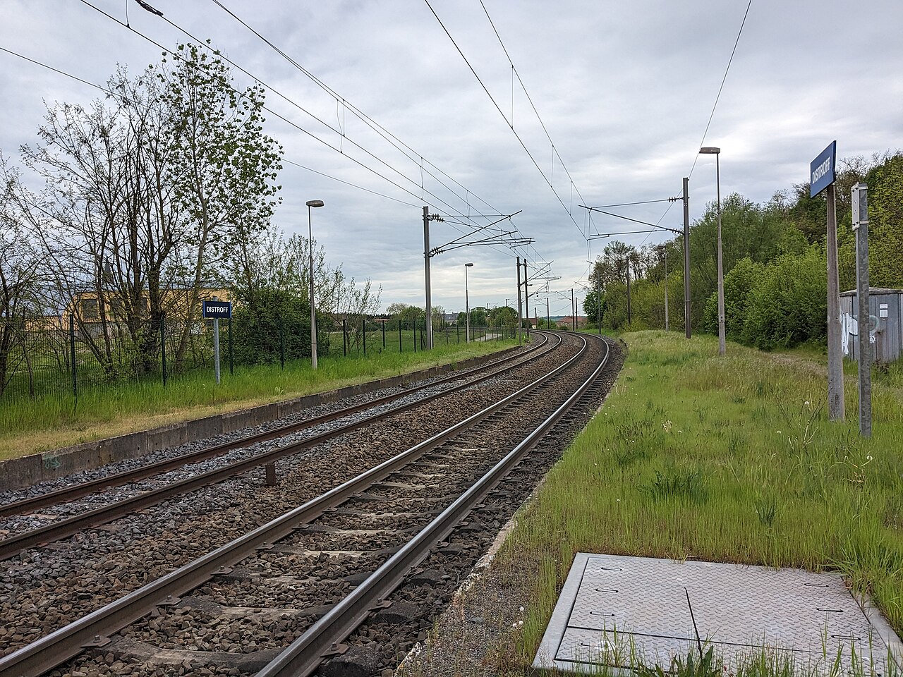 QuaisDistroff2