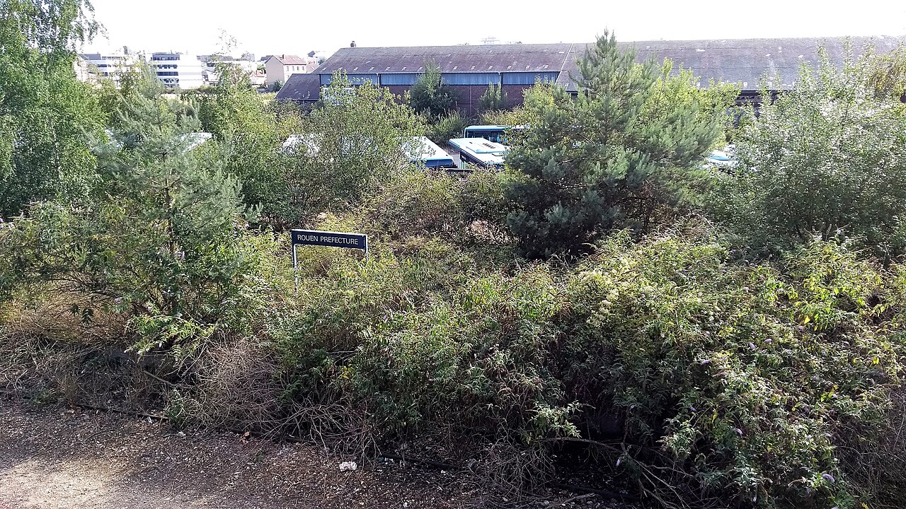 GARE VEGETALISEE (37115485670)