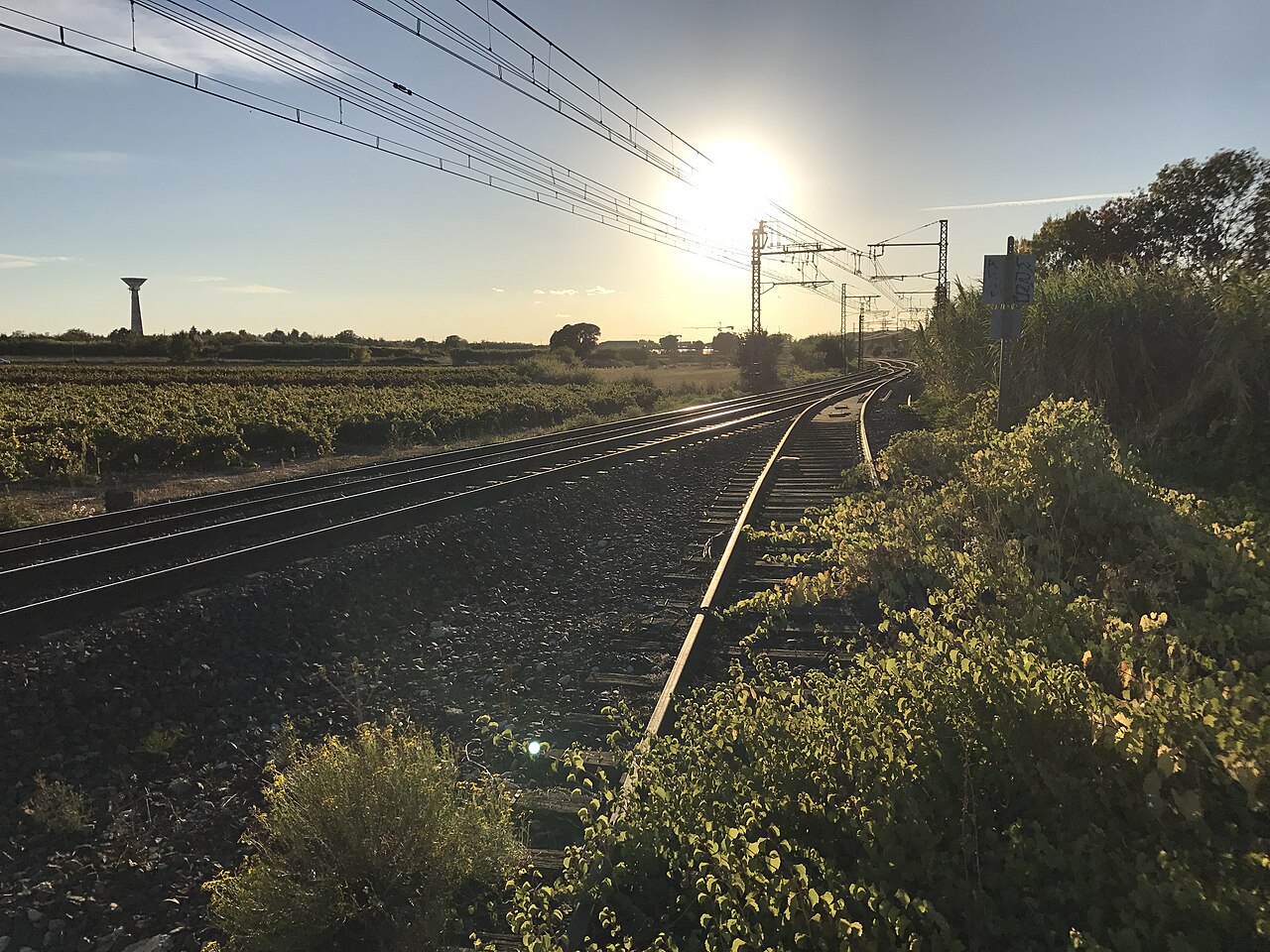 La bifurcation entre la ligne de Tarascon à Sète-Ville et la ligne de Mas-des-Gardies aux Mazes-le-Crès