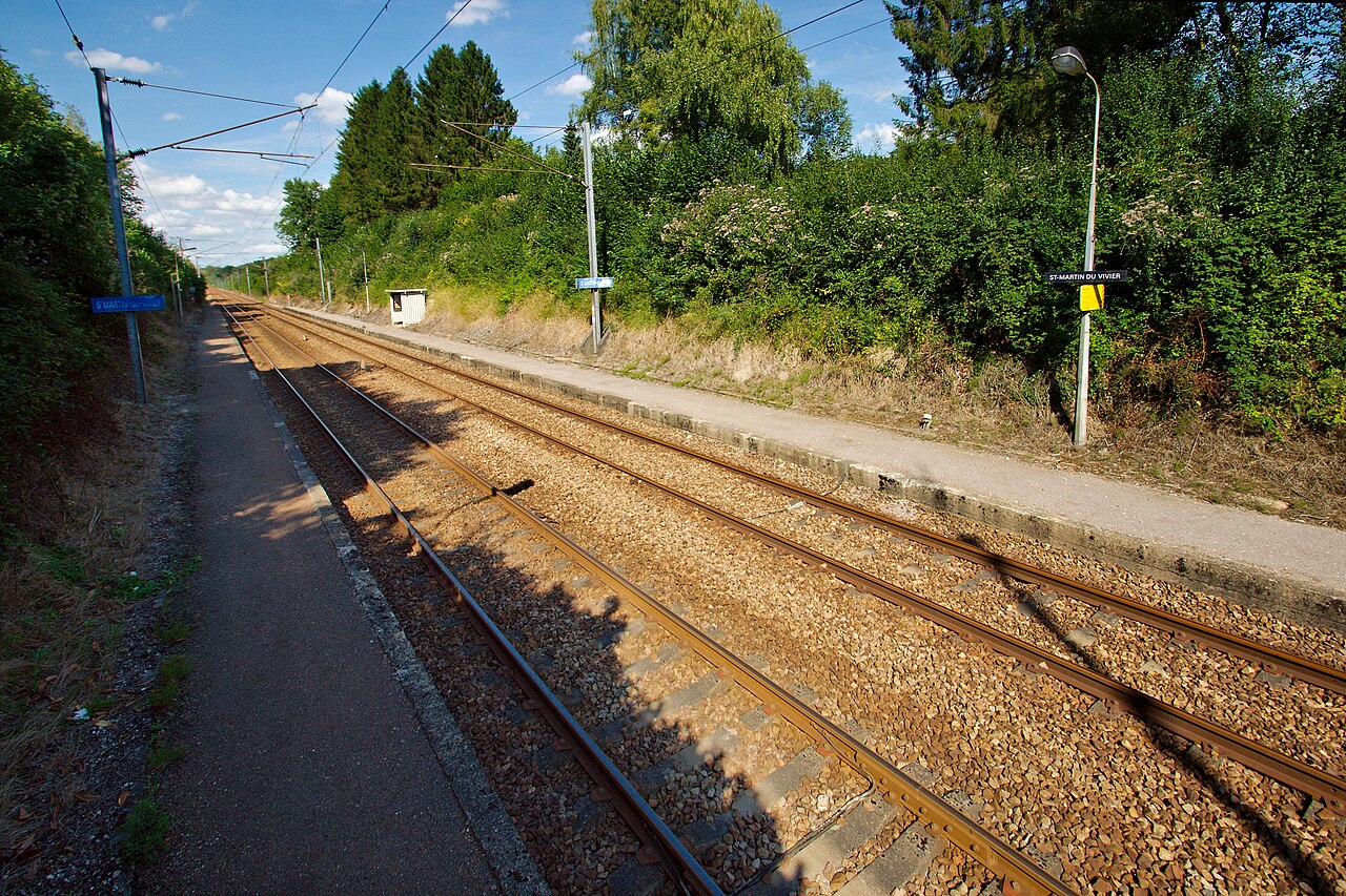 Gare SNCF de Saint-Martin-du-Vivier vue de profil