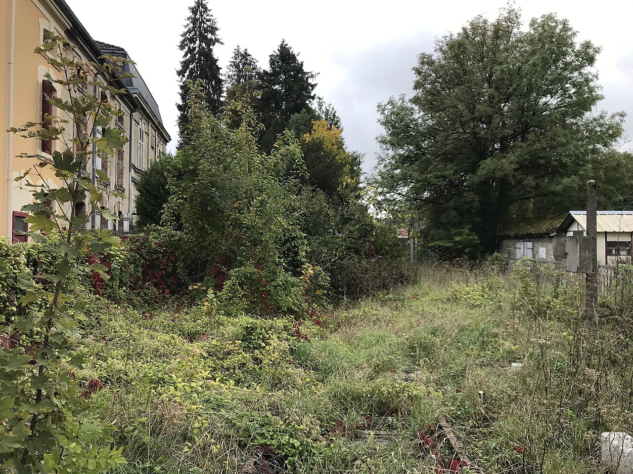 Ligny-en-Barrois - voie ferrée abandonnée